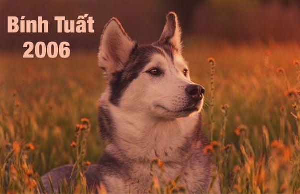 1_2f26a4e8268a4d398bfc0b48a9a3f12e_grande