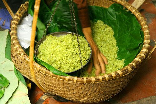 màu xanh cốm là màu gì