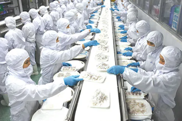 may đồng phục bảo hộ lao động ngành thủy hải sản 02