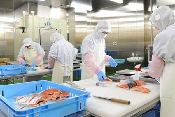 may đồng phục bảo hộ lao động ngành thủy hải sản 01